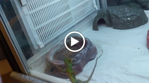 Pet Store «Fins And Feathers», reviews and photos, 222 Willow Ave, Honesdale, PA 18431, USA