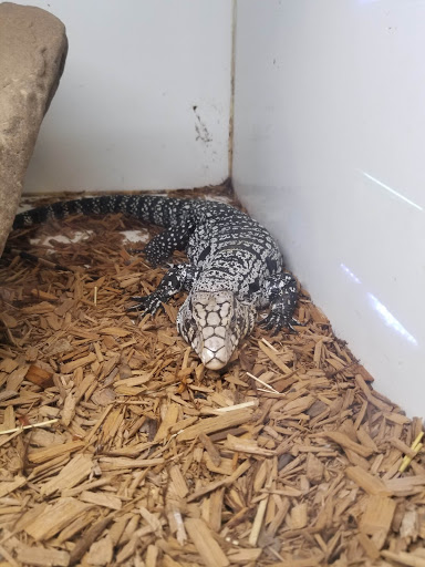 Tropical Fish Store «Harris In Wonderland», reviews and photos, 12 W Main St, Avon, CT 06001, USA