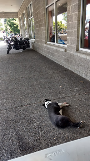 Harley-Davidson Dealer «Columbia Motorcycle Harley-Davidson», reviews and photos, 1314 NE 102nd St, Vancouver, WA 98686, USA