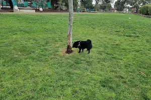 Brooklyn Reserve Fenced Dog Park image