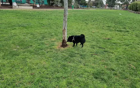 Brooklyn Reserve Fenced Dog Park image