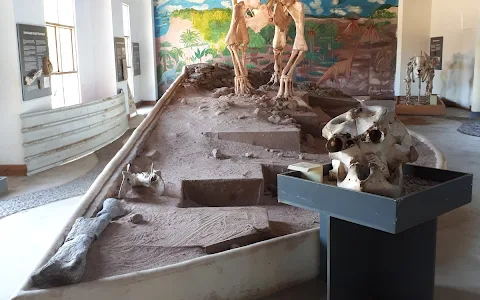 Karonga Museum image