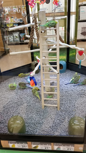 Pet Supply Store «Petco Animal Supplies», reviews and photos, 4665 Garth Rd #400, Baytown, TX 77521, USA