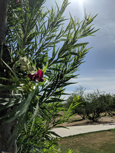 Park «Bicentennial Park», reviews and photos, 16705 N Nash St, Surprise, AZ 85378, USA