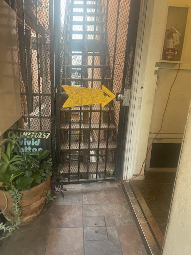 Explore snail tattoo ideas, creative tattoo ideas in San Diego, available at Vivid Tattoo