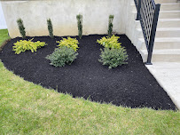 PEF Lawn Care Service LLC - Photo 4 - Car repair in , Philadelphia