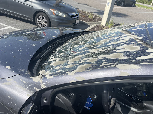 Mike's Pristine Detailing and  LLC en DeLand