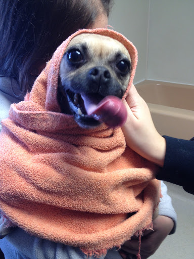 471 75th St, Naperville, IL 60565, USA