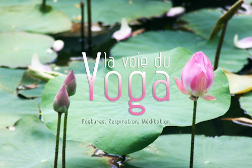 Laude Demay Cours de Yoga à Aix-en-Provence