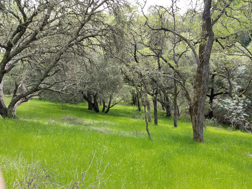 Heintz Open Space image