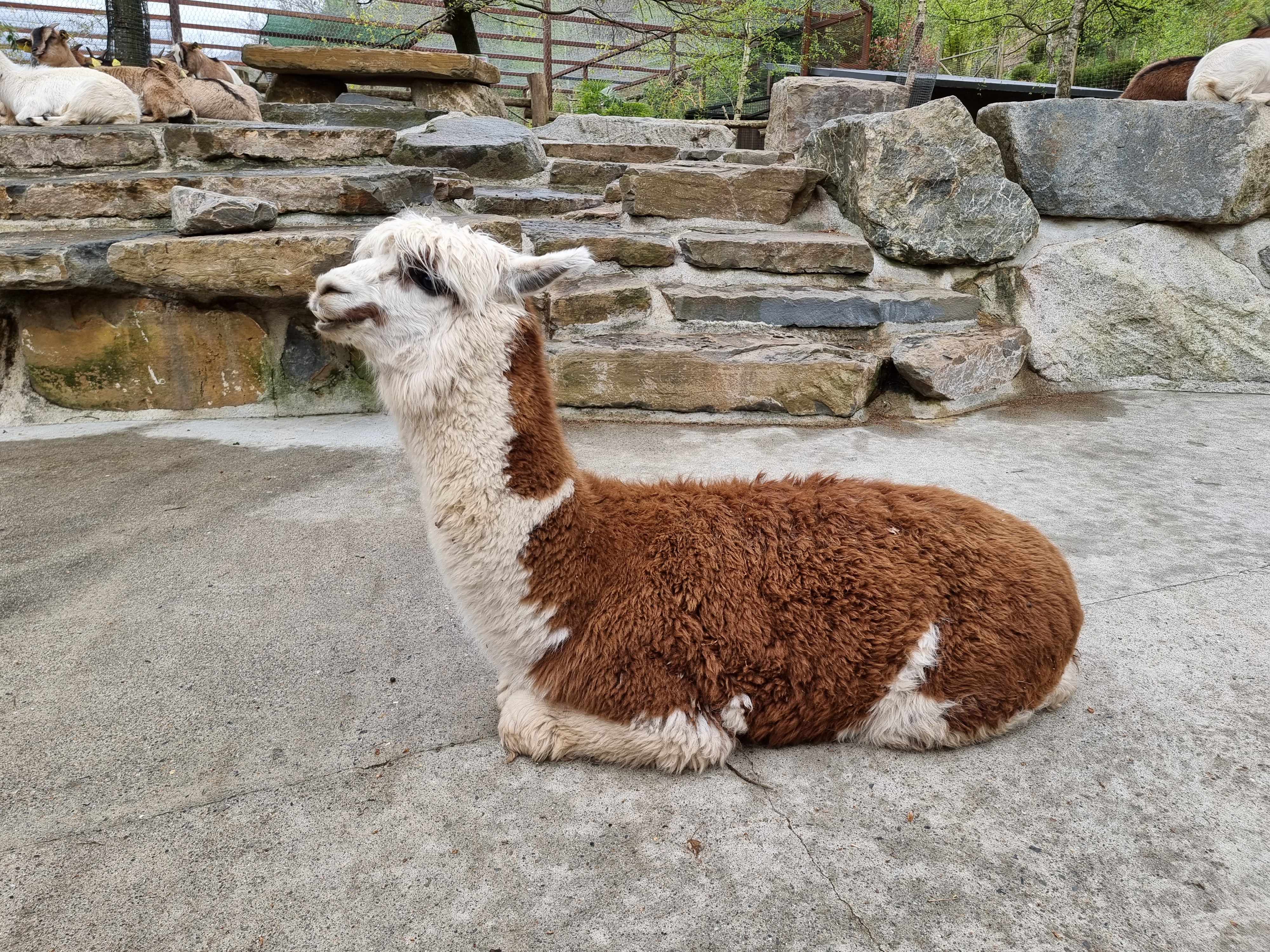 Photo n° 6 de l'avis de Noel.l fait le 12/04/2022 à 13:30