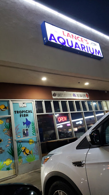 Lance's Aquarium