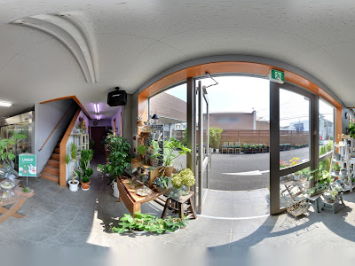 エーデルワイス 花屋 124530-エーデルワイス 花屋 時期