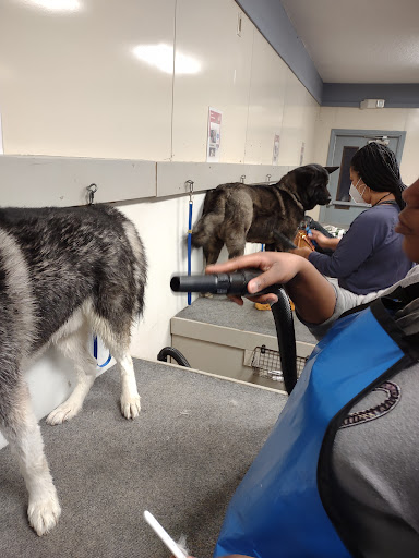 Pet Groomer «U Dirty Dog», reviews and photos, 232 Stevens Entry, Peachtree City, GA 30269, USA