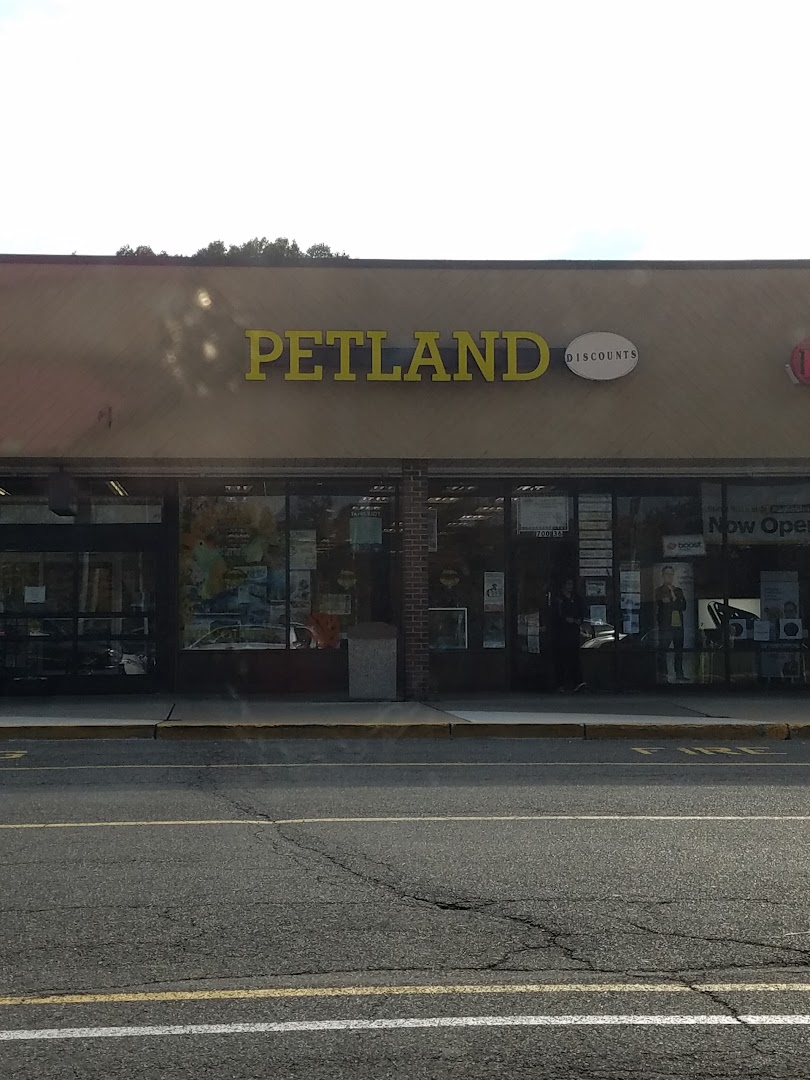 Petland Discounts - Westwood