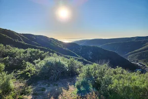 Aliso and Wood Canyons Wilderness Park image