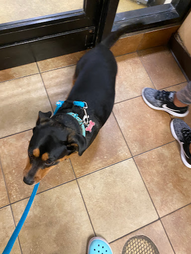 Pet Supply Store «PetSmart», reviews and photos, 14025 SW 88th St, Miami, FL 33186, USA