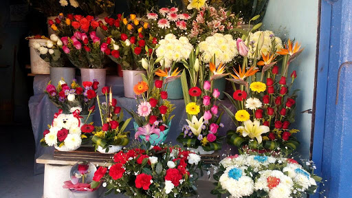 Florería Wendy – Buenavista