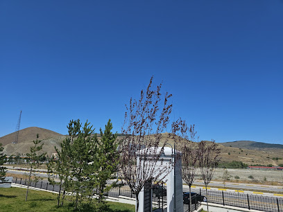 Yıldırım Ailesi Camii Ve Külliyesi