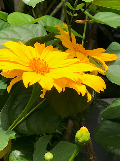 Park «Griffing Park», reviews and photos, 12220 Griffing Blvd, North Miami, FL 33161, USA