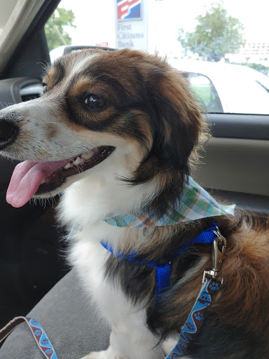 Pet Supply Store «Petsense Columbia», reviews and photos, 7402 Garners Ferry Rd, Columbia, SC 29209, USA