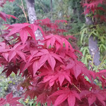 Photo n°6 de l'avis de Ana.e fait le 07/04/2019 à 12:21 sur le  Hotel Fonte Santa à Monfortinho