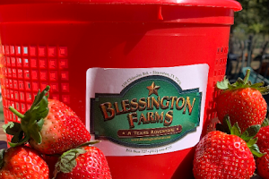 Blessington Farms image