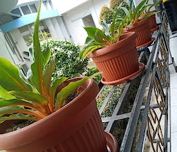 Santa Elisabeth Hospital photo