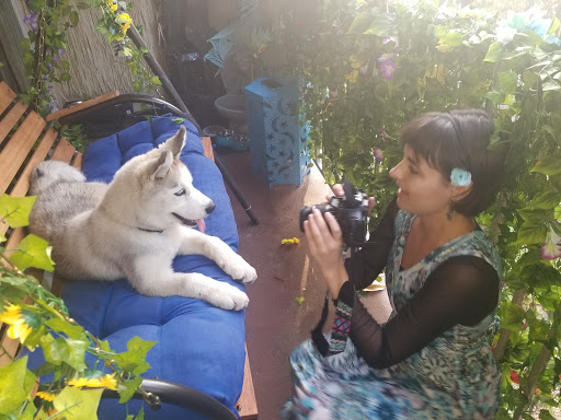 Pet Store «Kahoots Pet Store», reviews and photos, 2616 El Camino Real, Carlsbad, CA 92008, USA