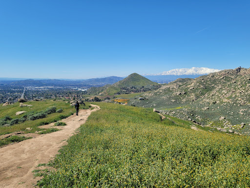 Two Trees Trail