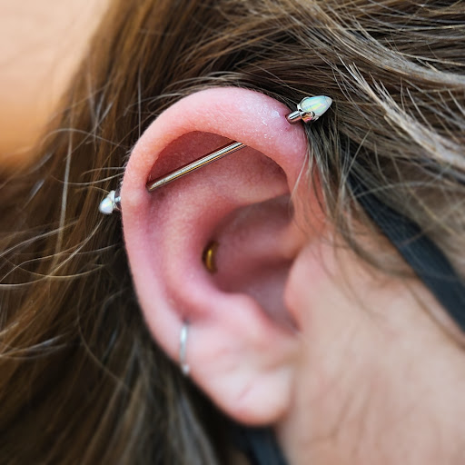 Body Piercing Shop «Skin Gallery Tattooing & Body Piercing», reviews and photos, 1402 Ogden Ave, Downers Grove, IL 60515, USA