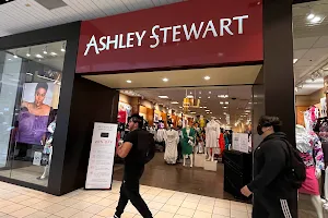 Ashley Stewart image