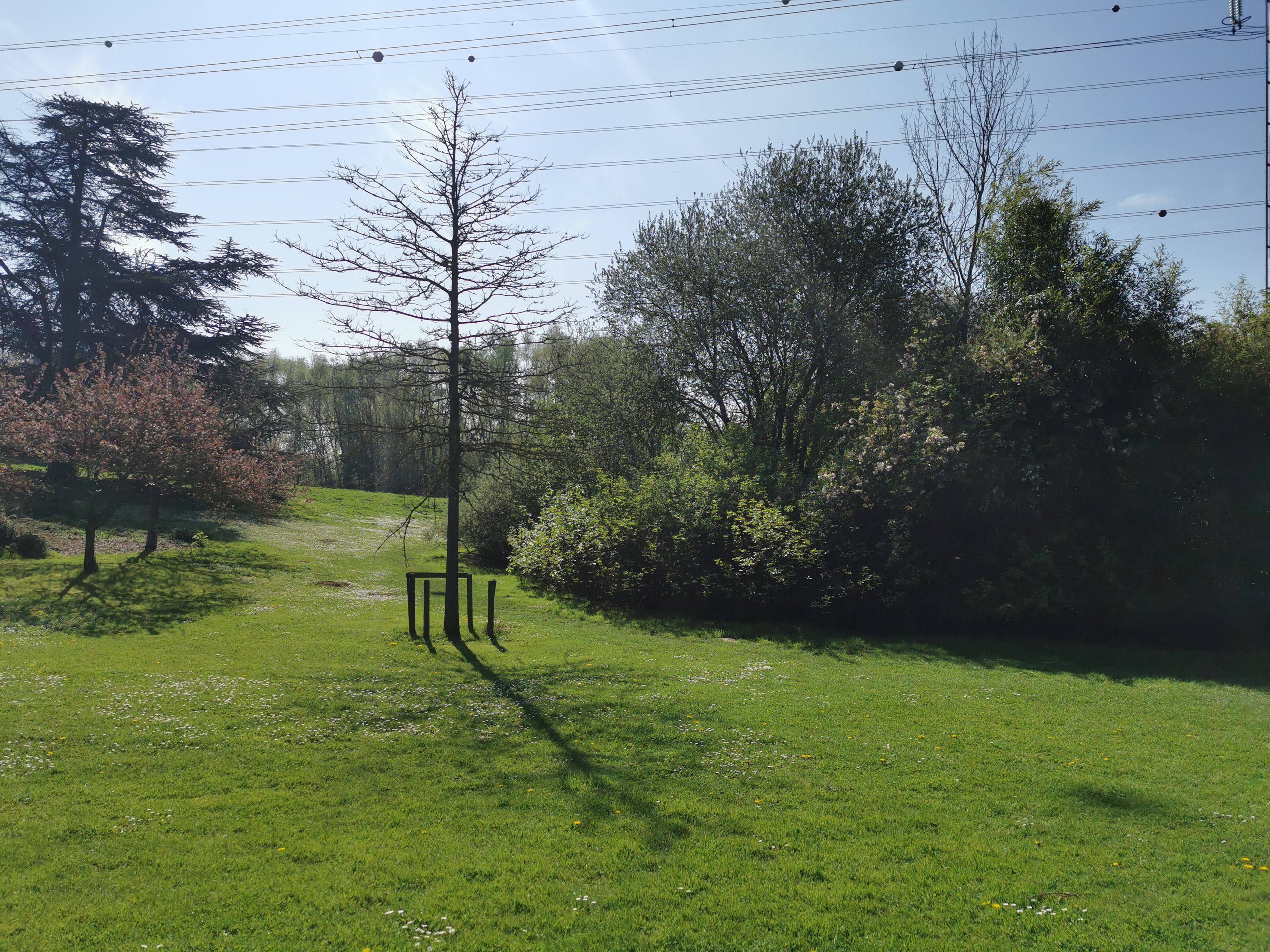 Photo n° 47 de l'avis de Fokop.i fait le 17/04/2022 à 14:37