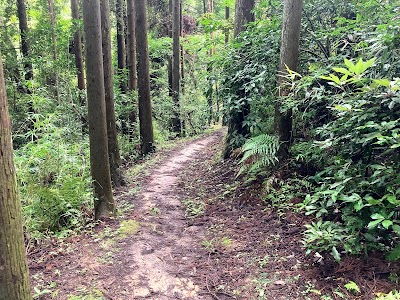 氷取沢 市民の森
