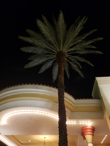 Movie Theater «Cinemark Palace 20», reviews and photos, 3200 Airport Rd, Boca Raton, FL 33431, USA