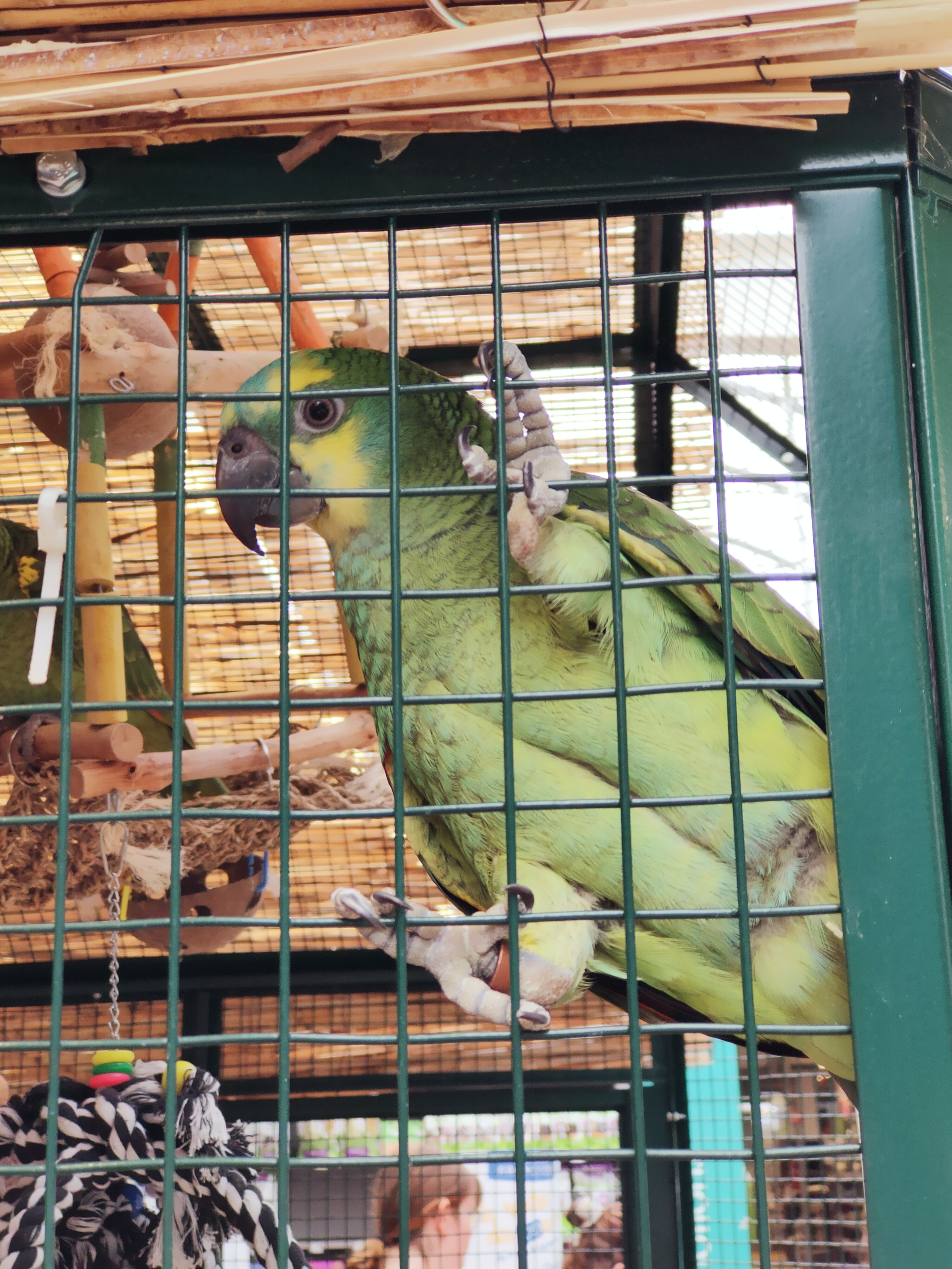 Photo n° 12 de l'avis de Trouspi.a fait le 29/06/2019 à 16:03