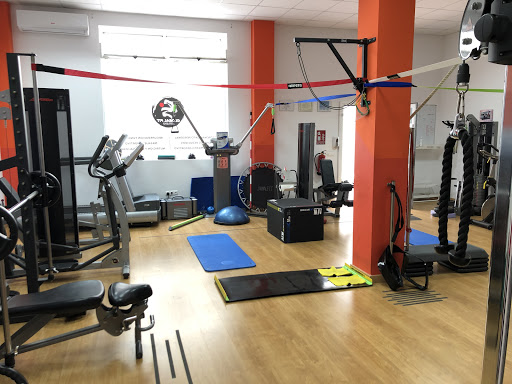 GLOBAL FIT ESTUDIO