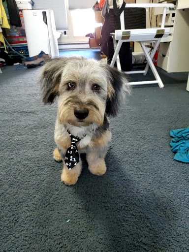 Pet Supply Store «Petco Animal Supplies», reviews and photos, 200 McMahan Blvd, Marion, OH 43302, USA