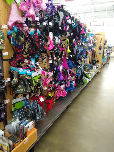 Pet Supply Store «Pet Supplies Plus», reviews and photos, 126 E Main St, Smithtown, NY 11787, USA