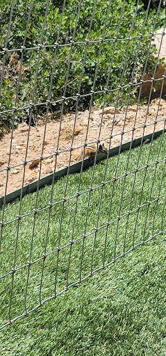 Tourist Attraction «Cave of the Winds», reviews and photos, 100 Cave of the Winds Rd, Manitou Springs, CO 80829, USA