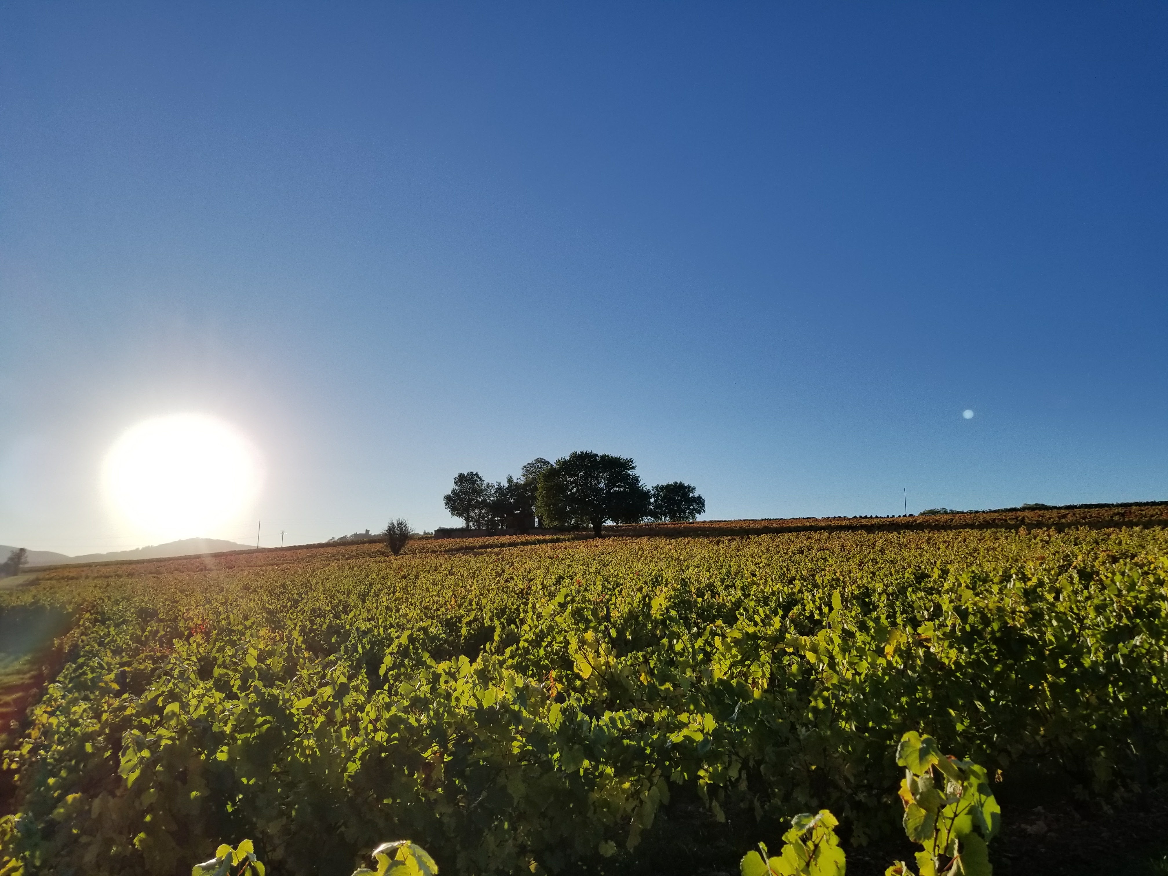 Photo n° 4 de l'avis de Enrique.e fait le 16/10/2017 à 09:34