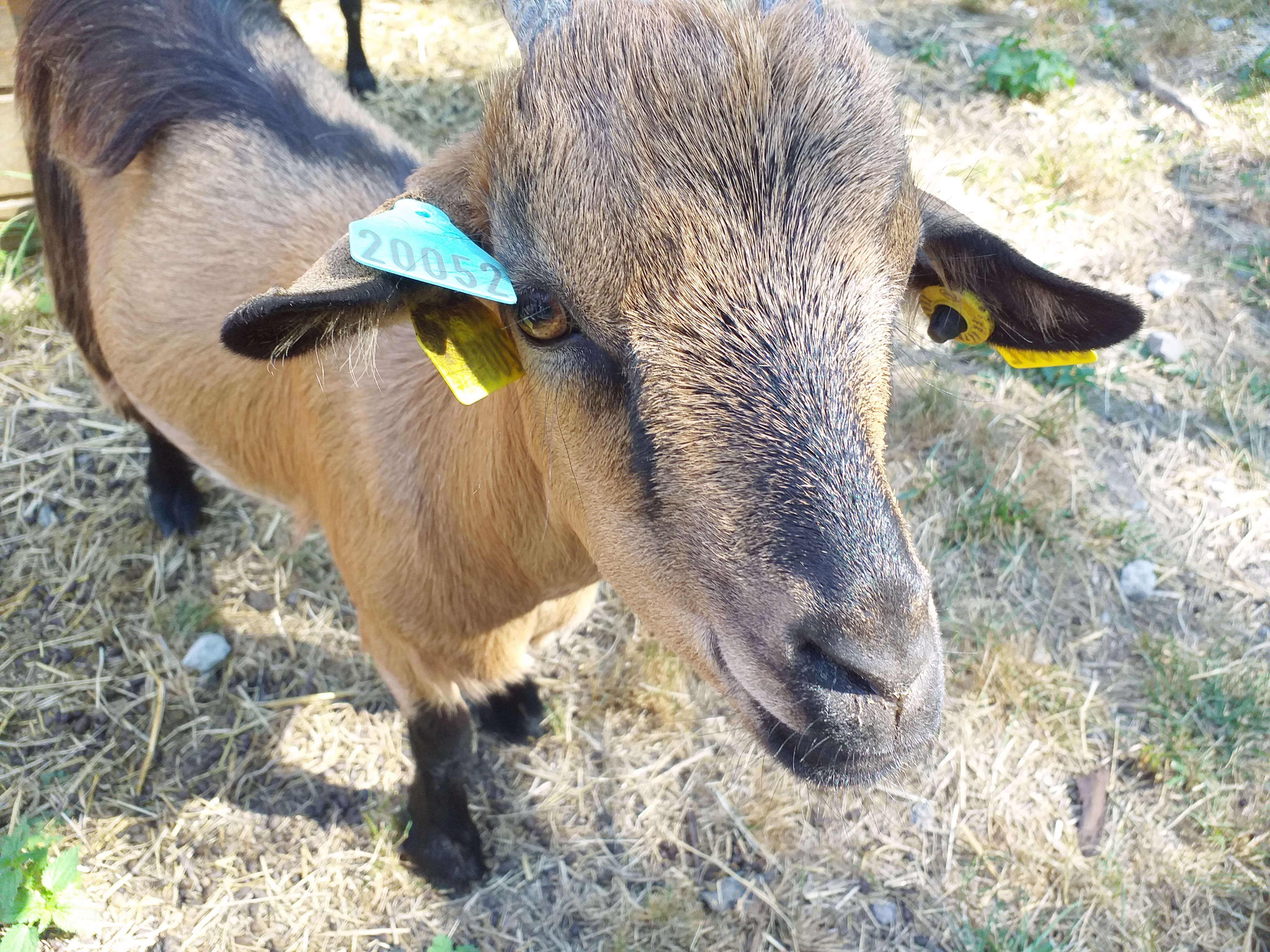 Photo n° 3 de l'avis de bob.a fait le 27/07/2023 à 16:11