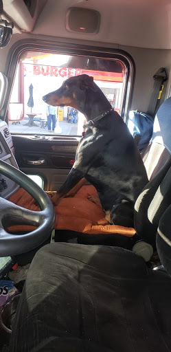 Pet Supply Store «Petsakes», reviews and photos, 295 9th St NE, Altoona, IA 50009, USA