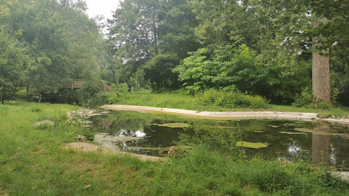 Parc des Cèdres à Conches-sur-Gondoire