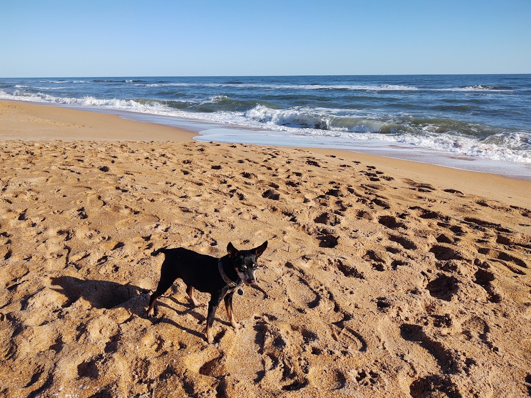 Fotografie cu Flagler beach cu drept și lung