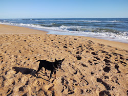 Fotografie cu Flagler beach cu drept și lung
