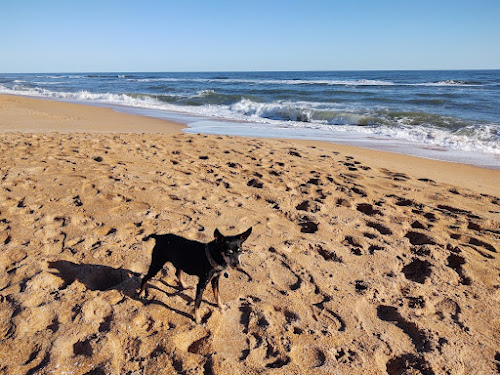 Flagler beach photo #2