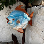 Photo n°1 de l'avis de Black.t fait le 02/09/2022 à 16:40 sur le  Caletta del Bagnino à Sanremo