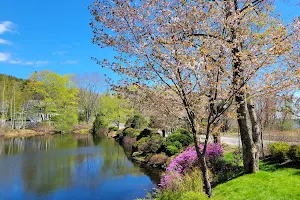 Asticou Azalea Garden Parking image