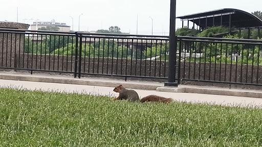 Zoo «Indianapolis Zoo», reviews and photos, 1200 W Washington St, Indianapolis, IN 46222, USA